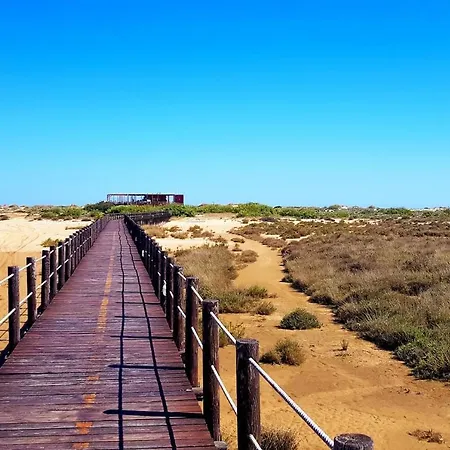 Located - Fabulous Pool !